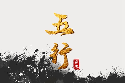 男双胞胎取名|起名社免费起名|名人五行起名|测八字起名字|男孩叶取名字