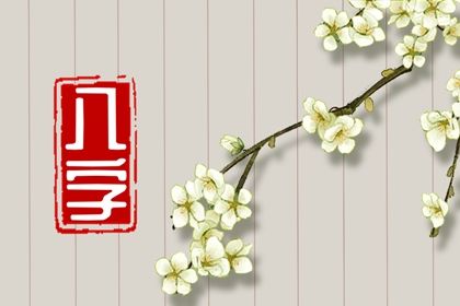 在线排盘的便利与边界