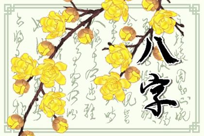 算五行八字|五行火生土好不好|算五行属性