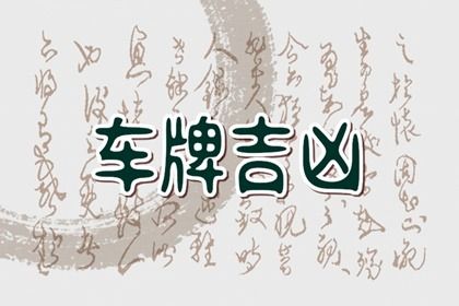 数理分如何理解