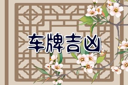车牌吉凶看什么