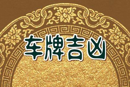 车牌数字解读
