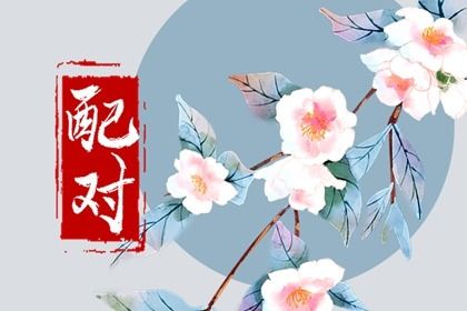 五行穿搭|地支五行查询|五行衣服颜色搭配|阴阳演化五行