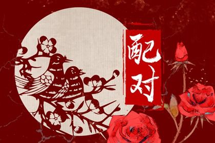 买车看日子选吉日|选日子提车2026|今天买车提车日子好不好|提车黄历吉日查询|免费择日