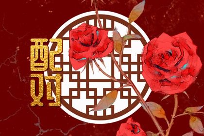 阴历阳历农历|查农历|2026农历日历