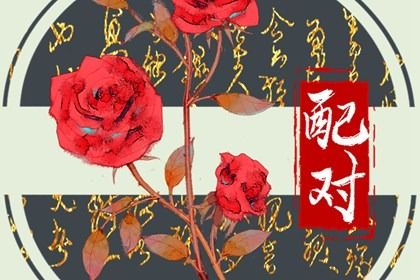 自由恋爱时代的合婚