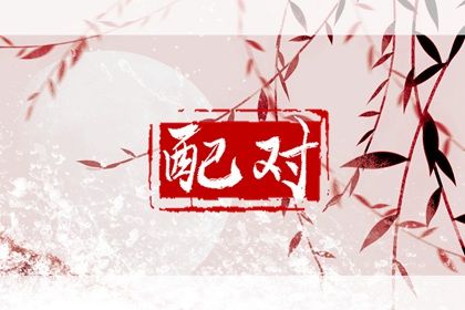 星座配对（民俗参考）