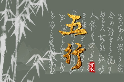 缺什么就要补什么吗
