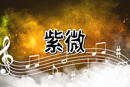 常见紫微误区