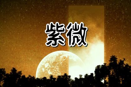 星宿命理解读