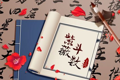 紫微斗数是什么